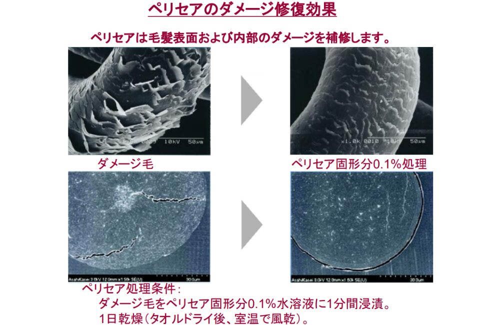 ペリセア効果引用